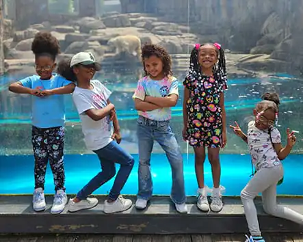 four girls posing in front of an aquarium display.girls four girls posing in front of an aquarium display.