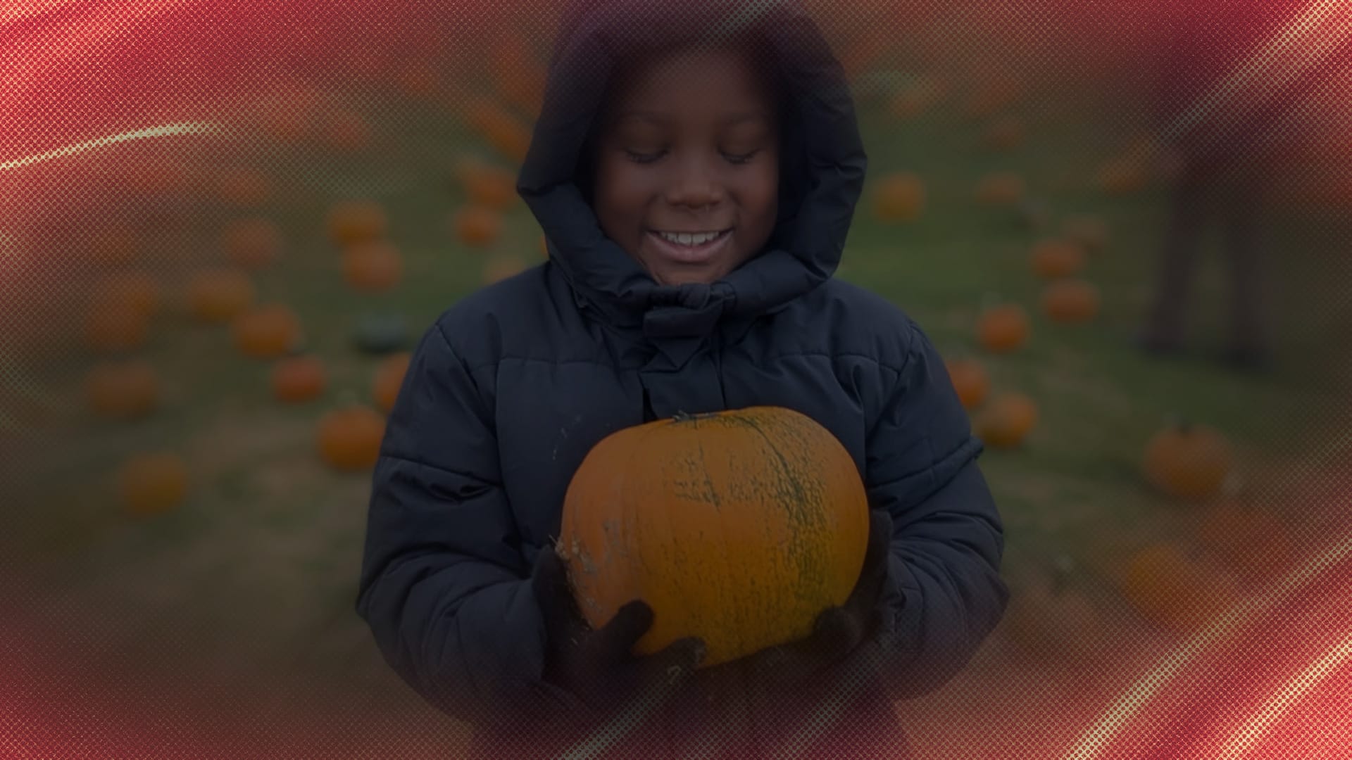 A boy holds a pumpkin in a pumpkin patch.